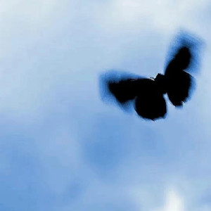 揉我胸⋯啊⋯嗯～出奶了3D
